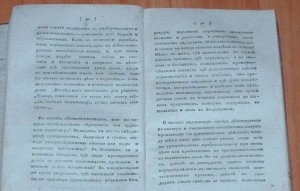 Опыт истории гражданского общества 1817 год
