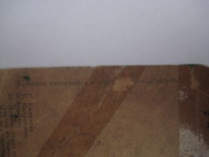 Дорога через сосновый лес