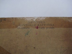 Дорога через сосновый лес