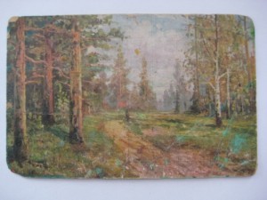 Дорога через сосновый лес