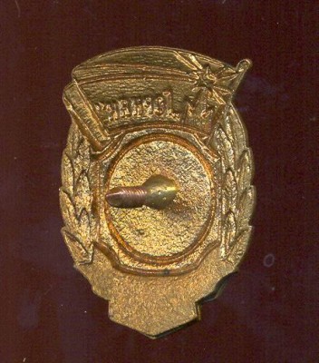 Горняк чемпион 1954