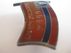 ДЕПУТАТ ГРУЗИН