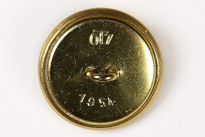 Генеральская пуговица на 17 республик.