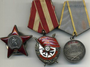 БКЗ №409094 ,КЗ №2691719 ,ЗБЗ № 650857 В Люксе