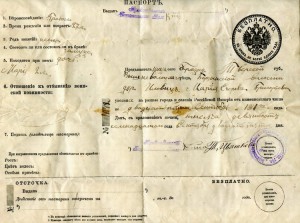 Паспорт 1916 г