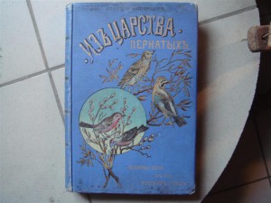 Из царства пернатых, Китайгородов