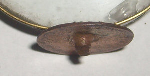 знак МОПР ( не частый вариант)