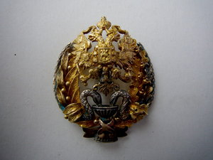 Знак лекаря, золото