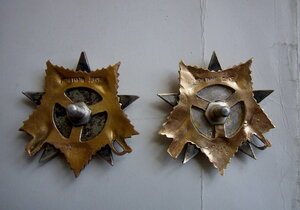 Отечка 1 ст. 2 штуки.