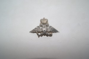 серебрянный знак