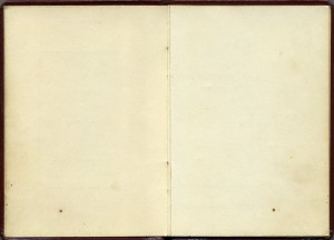 Краб Лётчика (?) 3ст 70523 с доком