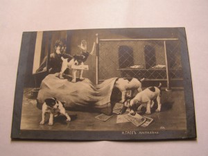 БКЗ 113193 ст.сержанта-ком.противотанковой пушки за Минск !