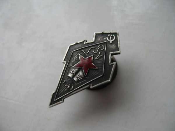 Школьная медаль  РСФСР золото