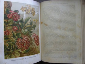 Жизнь растений. Двухтомник. 1896г.