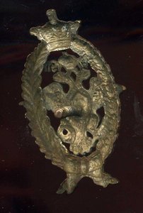 полковой знак МВ