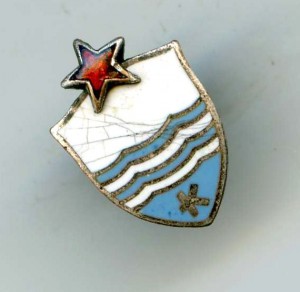 ДСО Калев