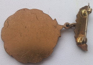 Чешск.партизан с док.на нашу женщину