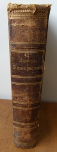 Кернер. Жизнь растений 1896г.