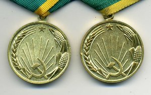 Две Целины с доками