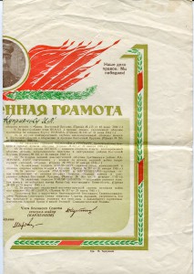 Билон 219 штук