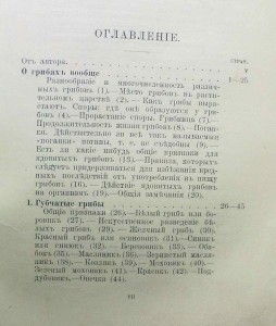 Собиратель грибов.1903 г.