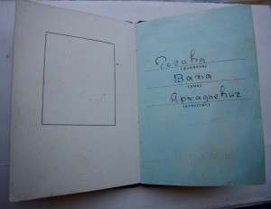 Дружба с доком