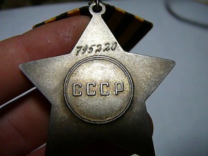 Орден Славы №795220