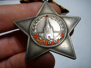 Орден Славы №795220