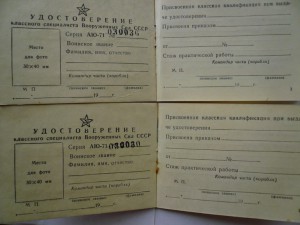 Класснолсть чистая (2 шт.)