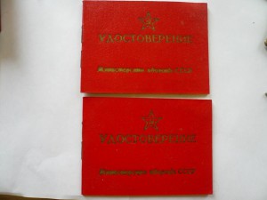 Класснолсть чистая (2 шт.)