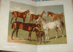 Большая энциклопедия  С.Н. Южаков 1902-1903 - 20 томов