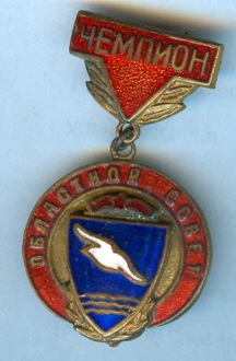 чемпион области