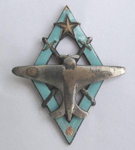 Пилот военных авиационных школ ВВС РККА