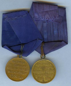 "МОБИЛИЗАЦИЯ"-госник и частник,на родных лентах и звеньях!!!