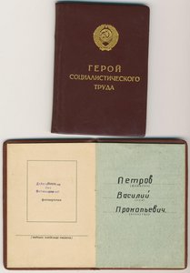 ГСТ с доком и МГ