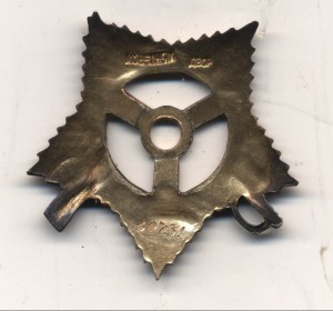 Отечка Iст № 30 ***