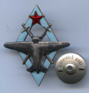 Пилот военных авиационных школ ВВС РККА