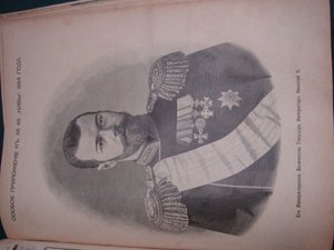Журнал Нива 1894