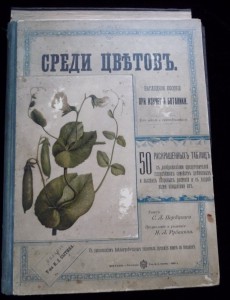 "среди цвътов"1899г.