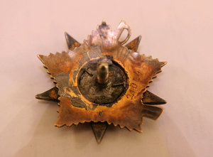 ОВ № 21004, переделанная на винт